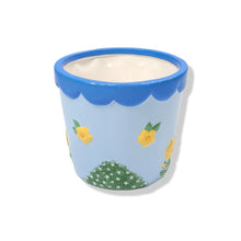 Fairy Door plant pot - 2 colour options